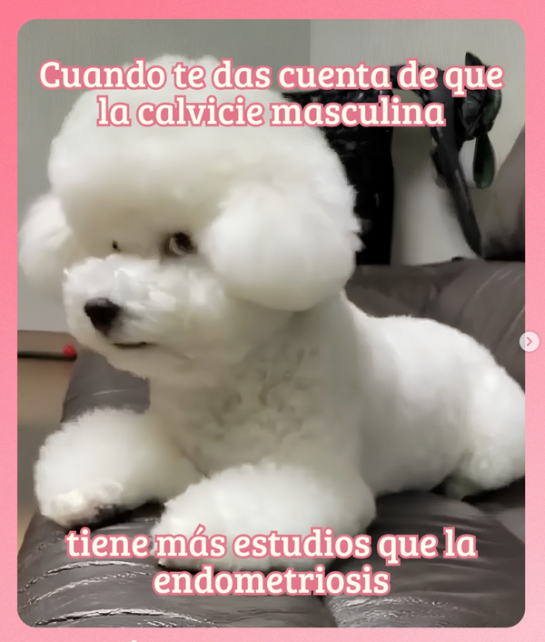 Ver post